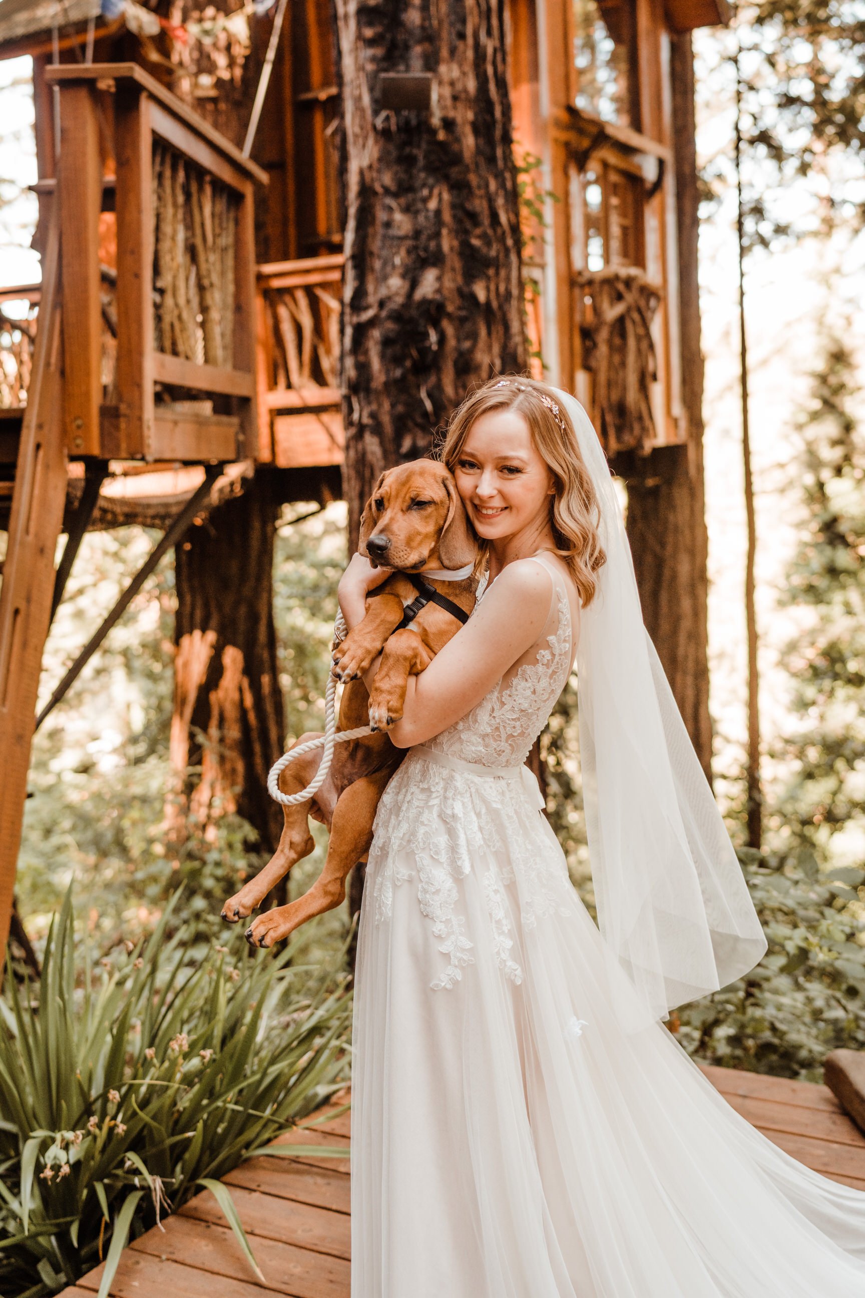 Wedding-in-the-Woods-Bloodhound-Puppy-in-Blue-Dog-Bowtie-with-Bride (3).jpg