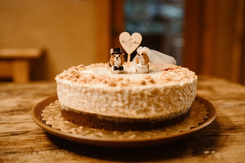 Wedding-in-the-Woods-Simple-Small-Cake-with-Funny-Beagle-Cake-Toppers (4).jpg