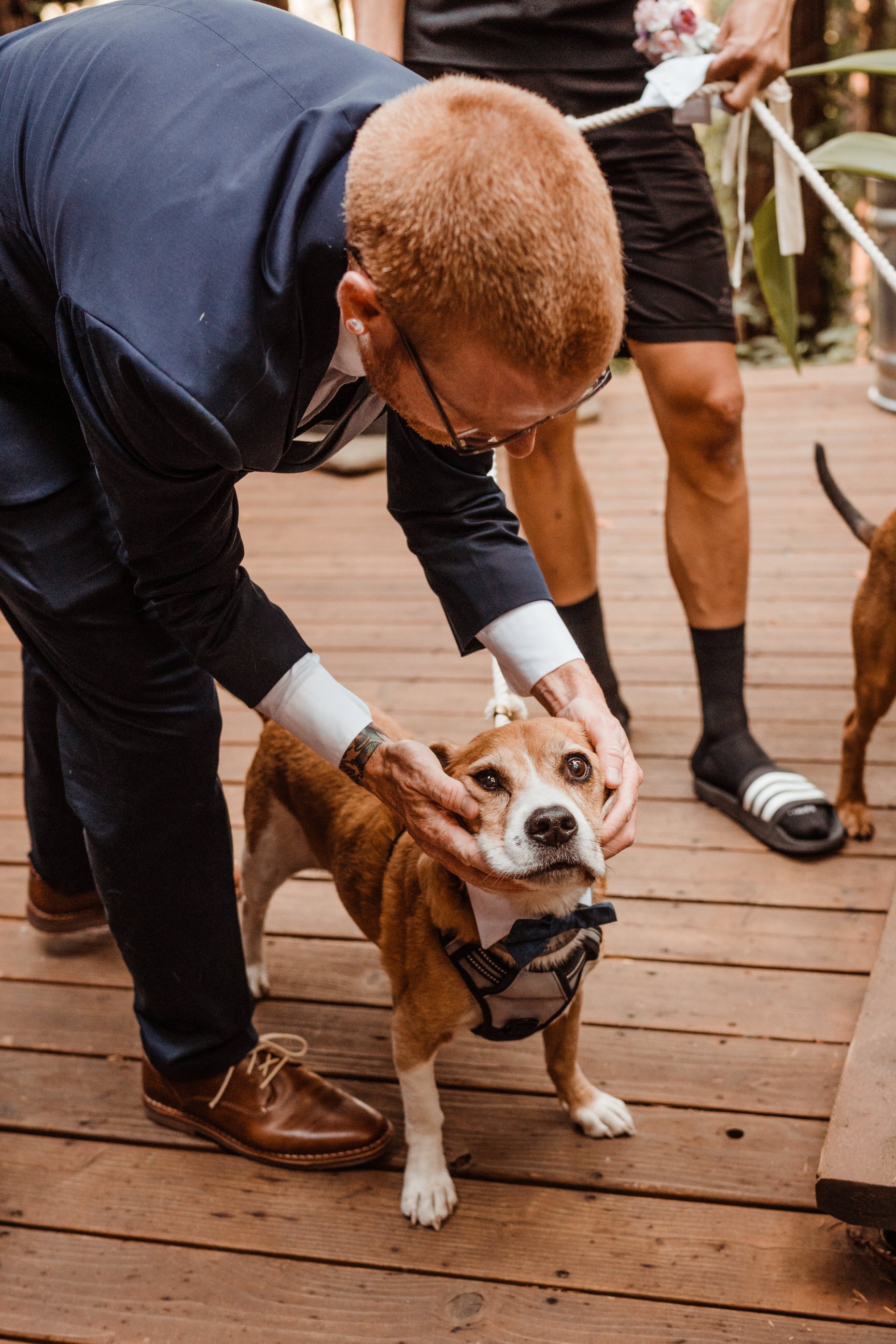 Wedding-in-the-Woods-Sweet-Moments-with-Senior-Beagle-in-Dog-Tuxedo-Bowtie (2).jpg