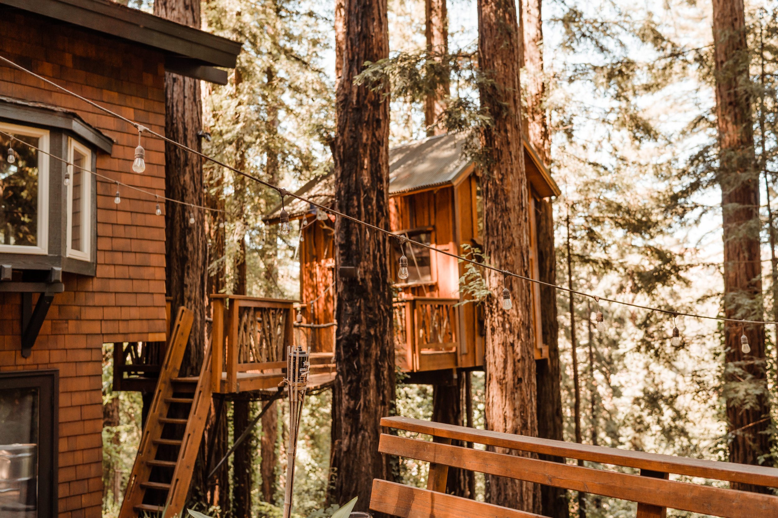 Wedding-in-the-Woods-Bride-and-Groom-Portraits-in-Airbnb-Treehouse (1).jpg