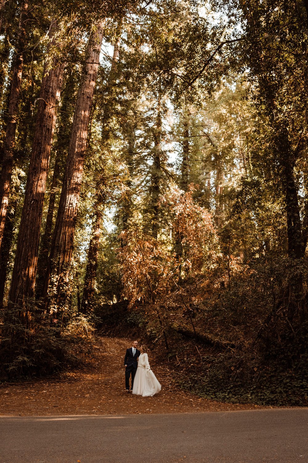 Wedding-in-the-Woods-Bride-and-Groom-Sunlit-Pictures-Beneath-Redwood-Forest (5).jpg