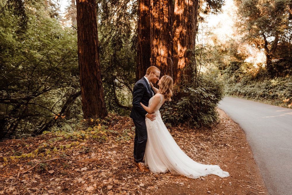 Wedding-in-the-Woods-Bride-and-Groom-Sunlit-Pictures-Beneath-Redwood-Forest (10).jpg