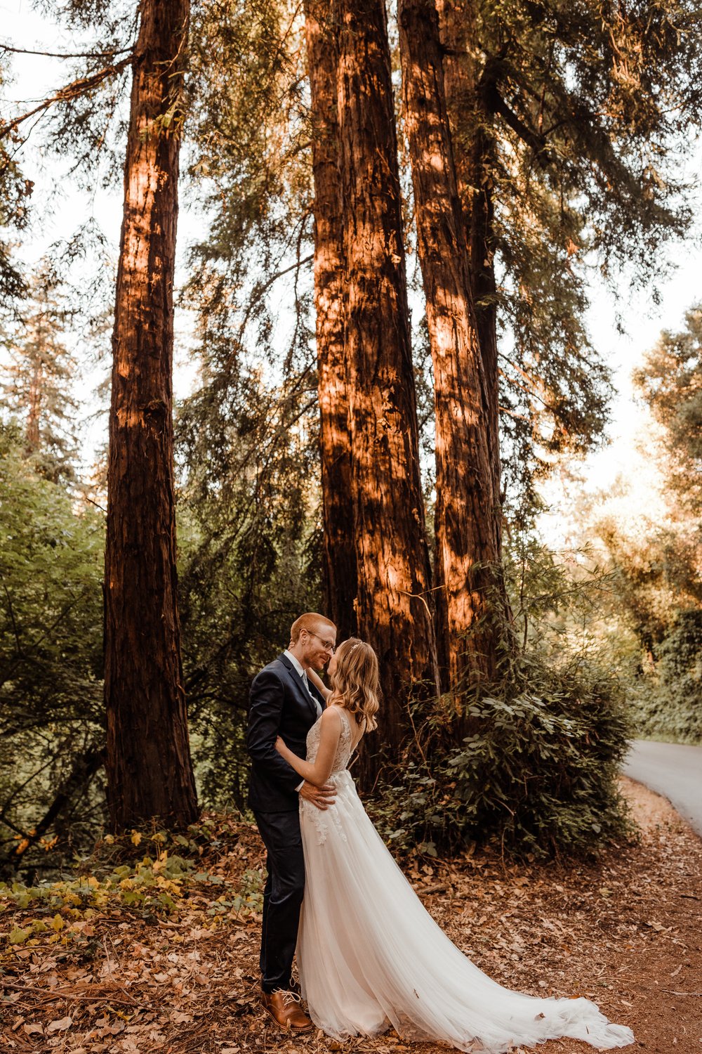 Wedding-in-the-Woods-Bride-and-Groom-Sunlit-Pictures-Beneath-Redwood-Forest (11).jpg