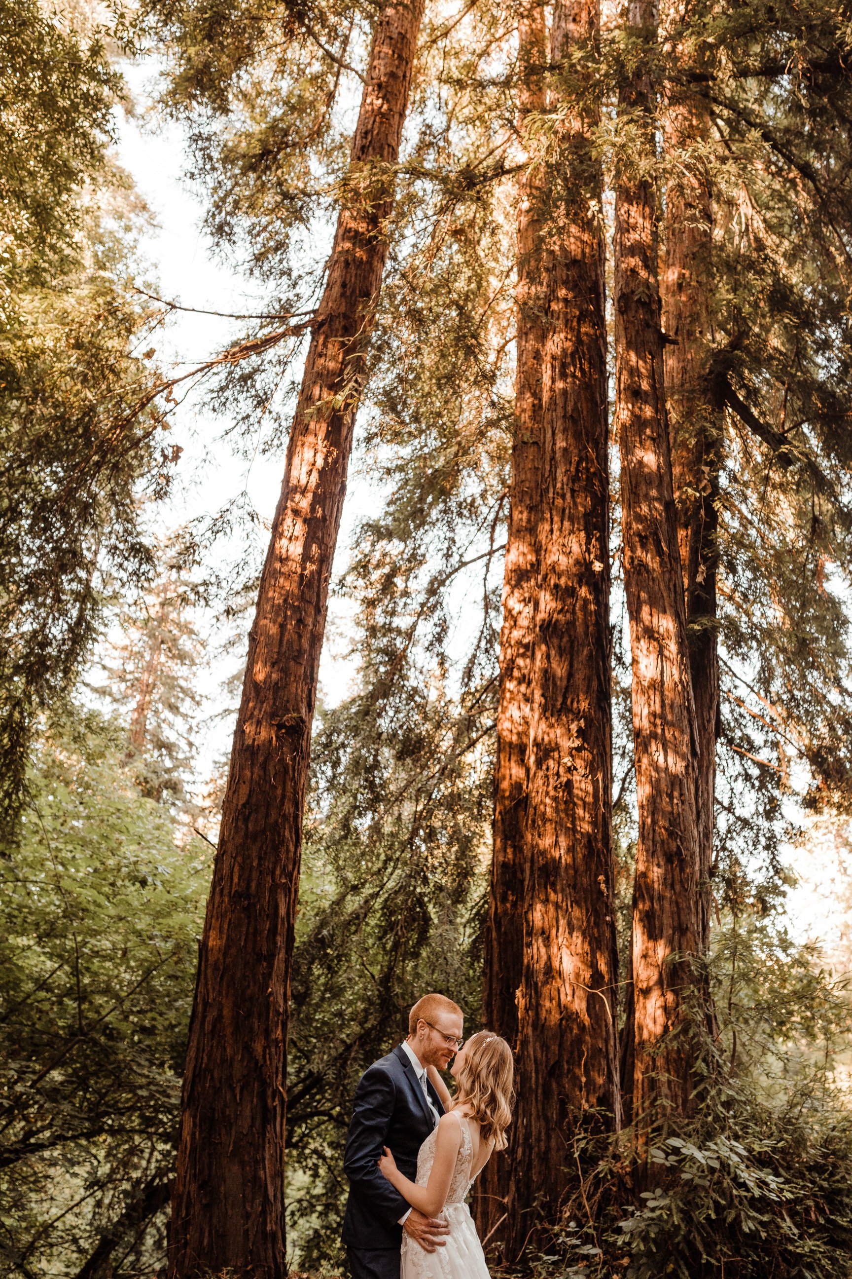 Wedding-in-the-Woods-Bride-and-Groom-Sunlit-Pictures-Beneath-Redwood-Forest (12).jpg
