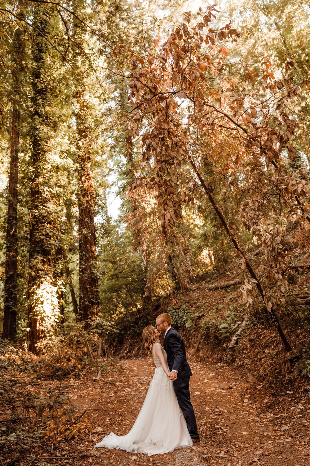 Wedding-in-the-Woods-Bride-and-Groom-Sunlit-Pictures-Beneath-Redwood-Forest (18).jpg