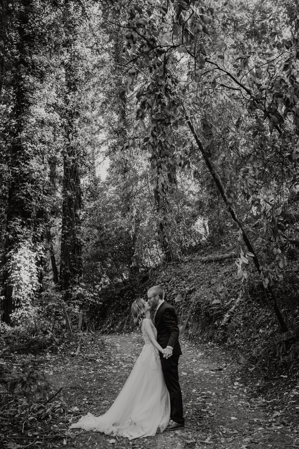 Wedding-in-the-Woods-Bride-and-Groom-Sunlit-Pictures-Beneath-Redwood-Forest (19).jpg