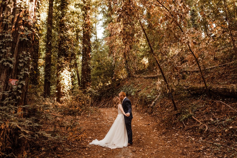 Wedding-in-the-Woods-Bride-and-Groom-Sunlit-Pictures-Beneath-Redwood-Forest (20).jpg