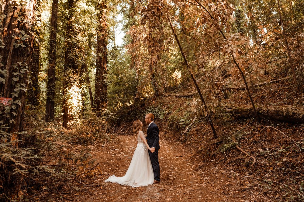 Wedding-in-the-Woods-Bride-and-Groom-Sunlit-Pictures-Beneath-Redwood-Forest (21).jpg