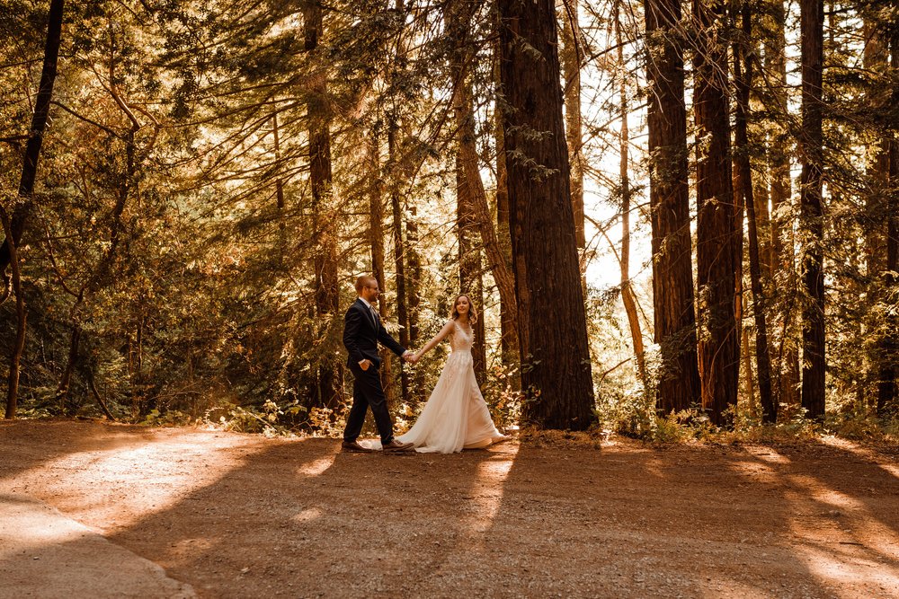 Wedding-in-the-Woods-Bride-and-Groom-Sunlit-Pictures-Beneath-Redwood-Forest (26).jpg