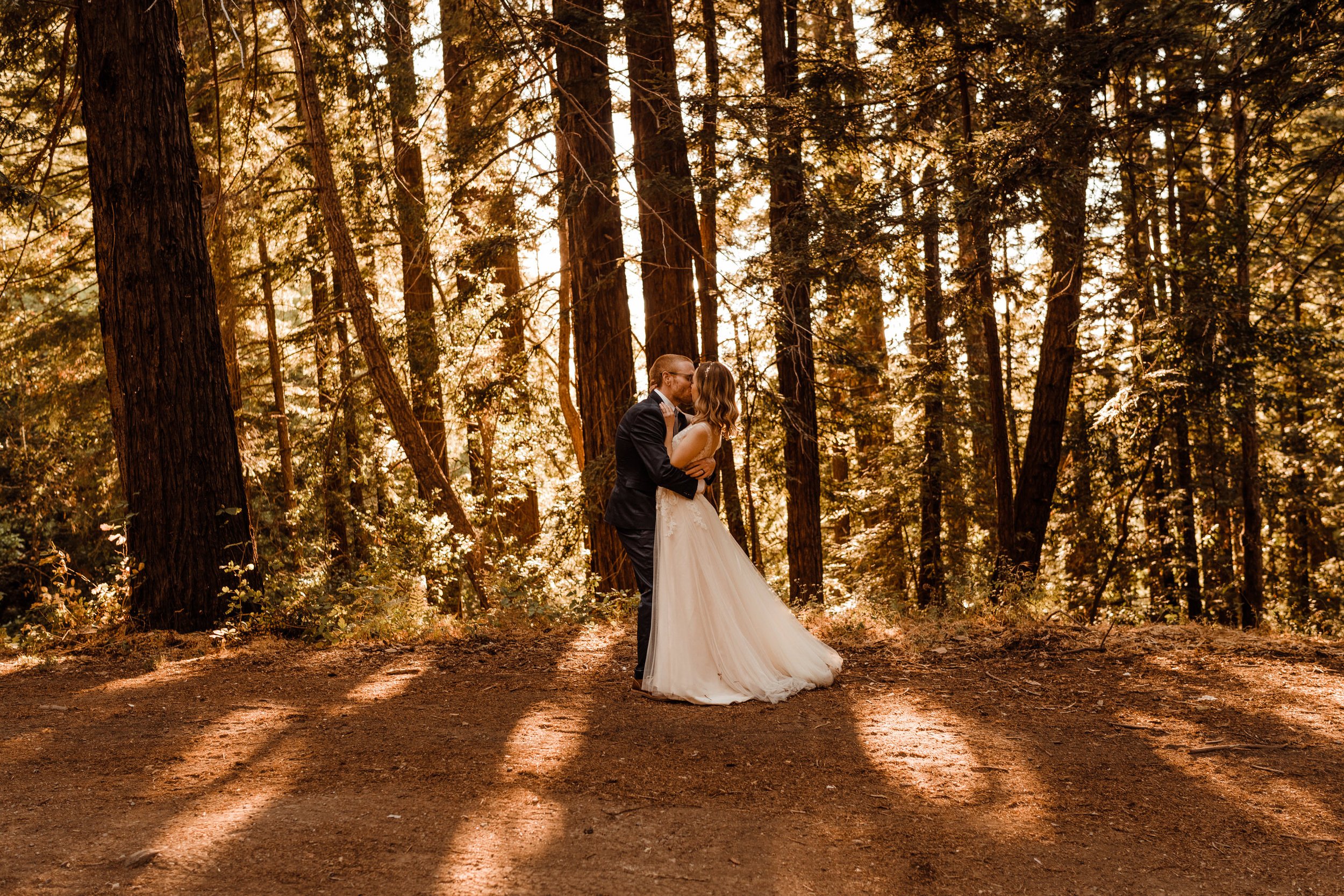 Wedding-in-the-Woods-Bride-and-Groom-Sunlit-Pictures-Beneath-Redwood-Forest (30).jpg