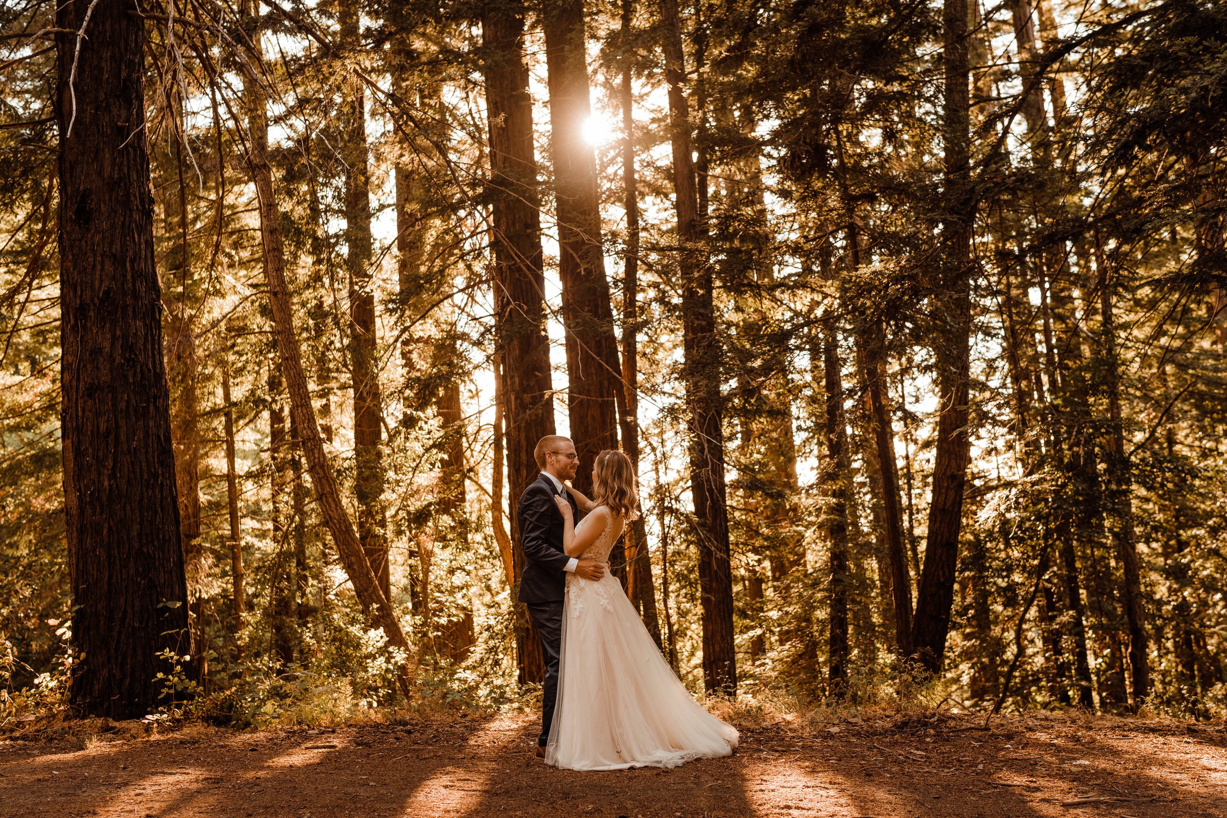 Wedding-in-the-Woods-Bride-and-Groom-Sunlit-Pictures-Beneath-Redwood-Forest (31).jpg