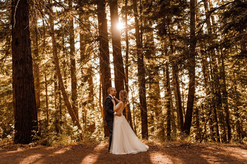 Wedding-in-the-Woods-Bride-and-Groom-Sunlit-Pictures-Beneath-Redwood-Forest (31).jpg