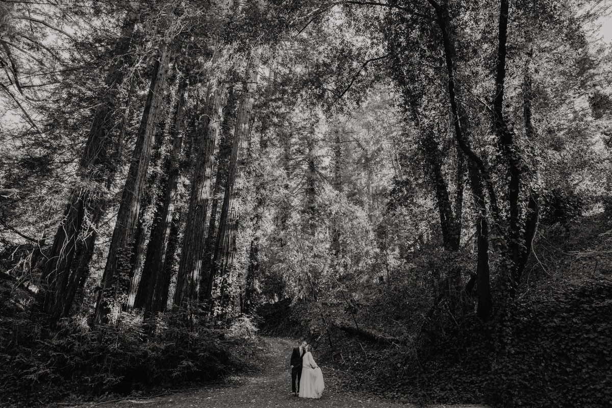 Bride-and-Groom-Photos-in-Redwoods-Small-Wedding-black-and-white-romantic (2).jpg