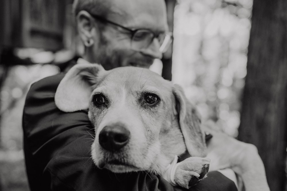 Wedding-in-the-Woods-Red-Haired-Groom-with-Senior-Rescue-Dog-Beagle (1).jpg