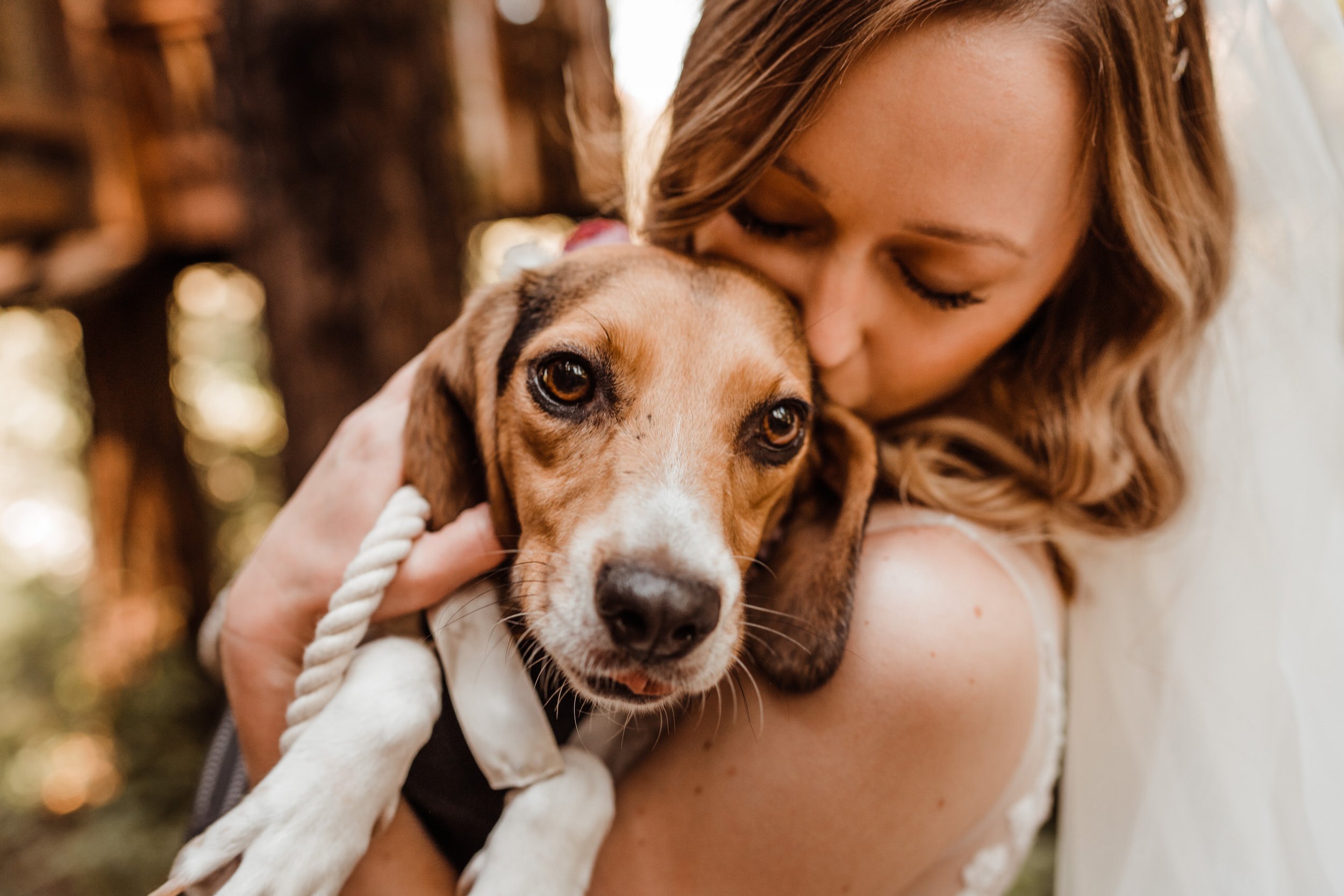 Wedding-in-the-Woods-Bride-with-Rescue-Beagle-Bridesmaid-Dog-of-Honor (1).jpg