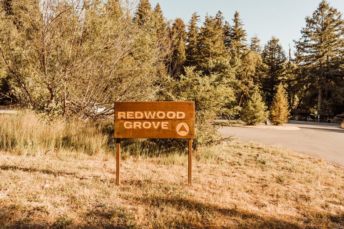 Redwoods-Grove-Sign-Henry-Cowell-State-Park.jpg