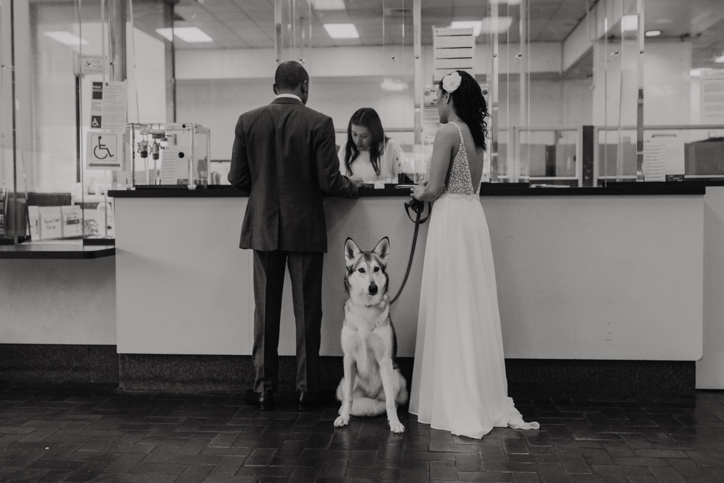 Long-Beach-City-Elopement-with-Husky-Wolf-Service-Dog-photo-in-black-and-white.jpg