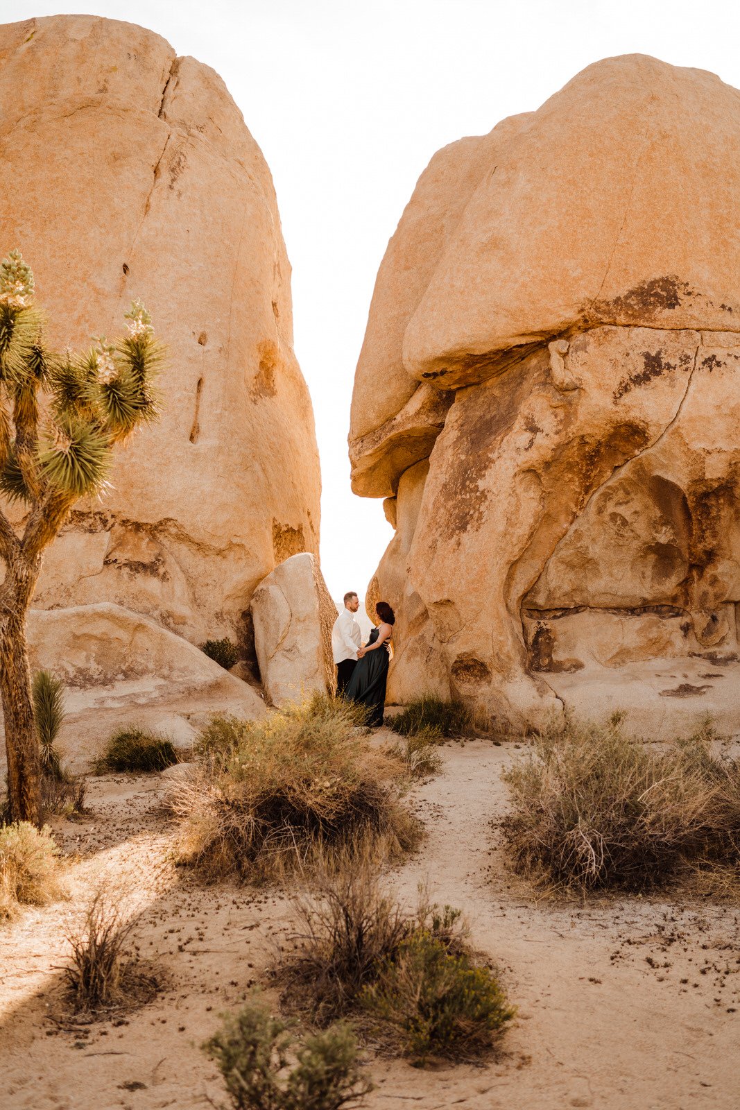 Desert-Boulder-Hiking-Engagement-Photos-in-Formal-Dress (1).jpg