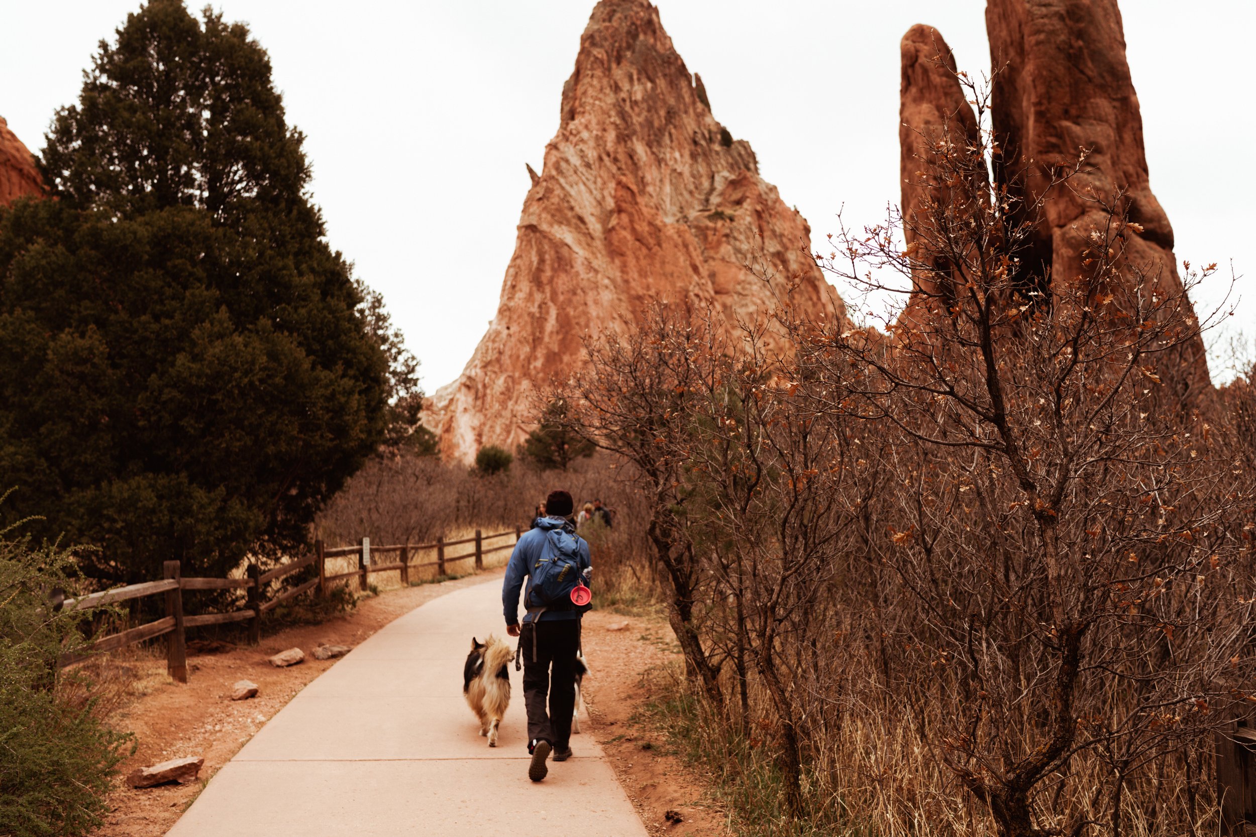 Scenic landscape images from Garden of the Gods | Photos from our Colorado roadtrip | Adventurous Elopement Photographer Kept Record