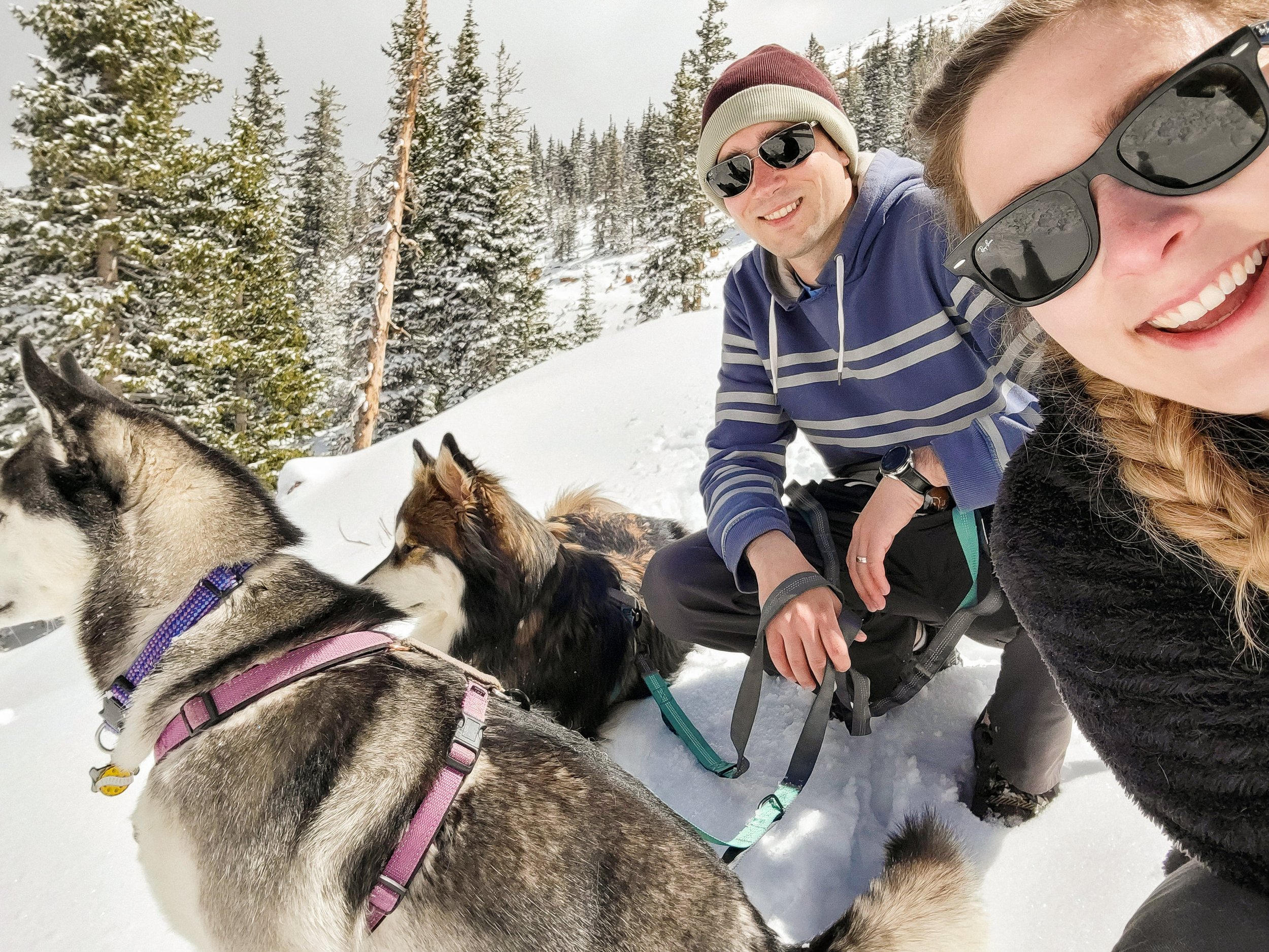 Husband and wife with two huskies at Pikes Peak - Colorado Springs, Co - photos by adventure photographer Kept Record | www.keptrecord.com