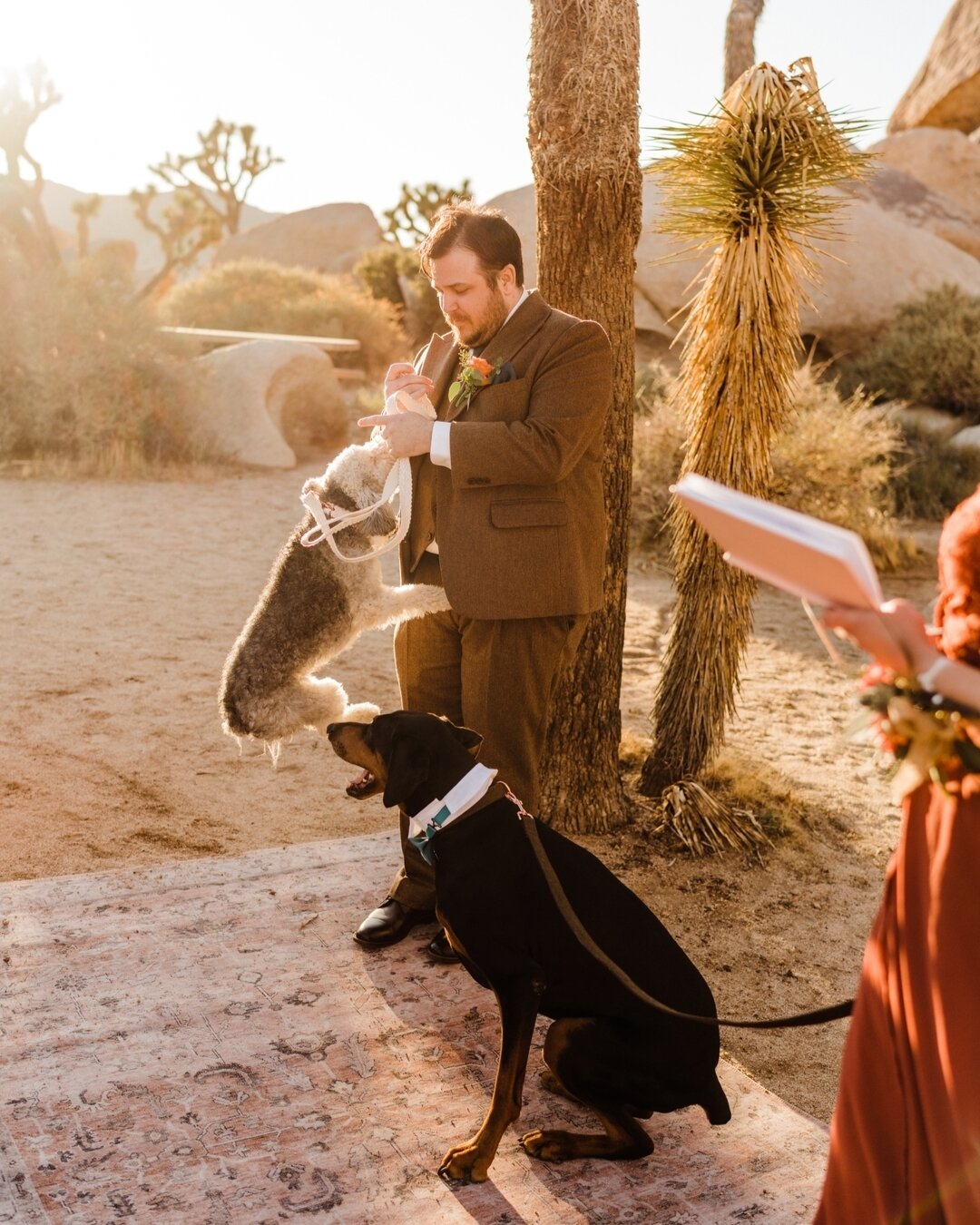 Did you know today is Love Your Pet day? which is different from every other day... how again? 😂 Grateful for so many clients that love their pets as much as I do. pictures from the SWEETEST pup-filled elopement in Joshua Tree 🌵❤️ 

✨ Oh &amp; SOCA