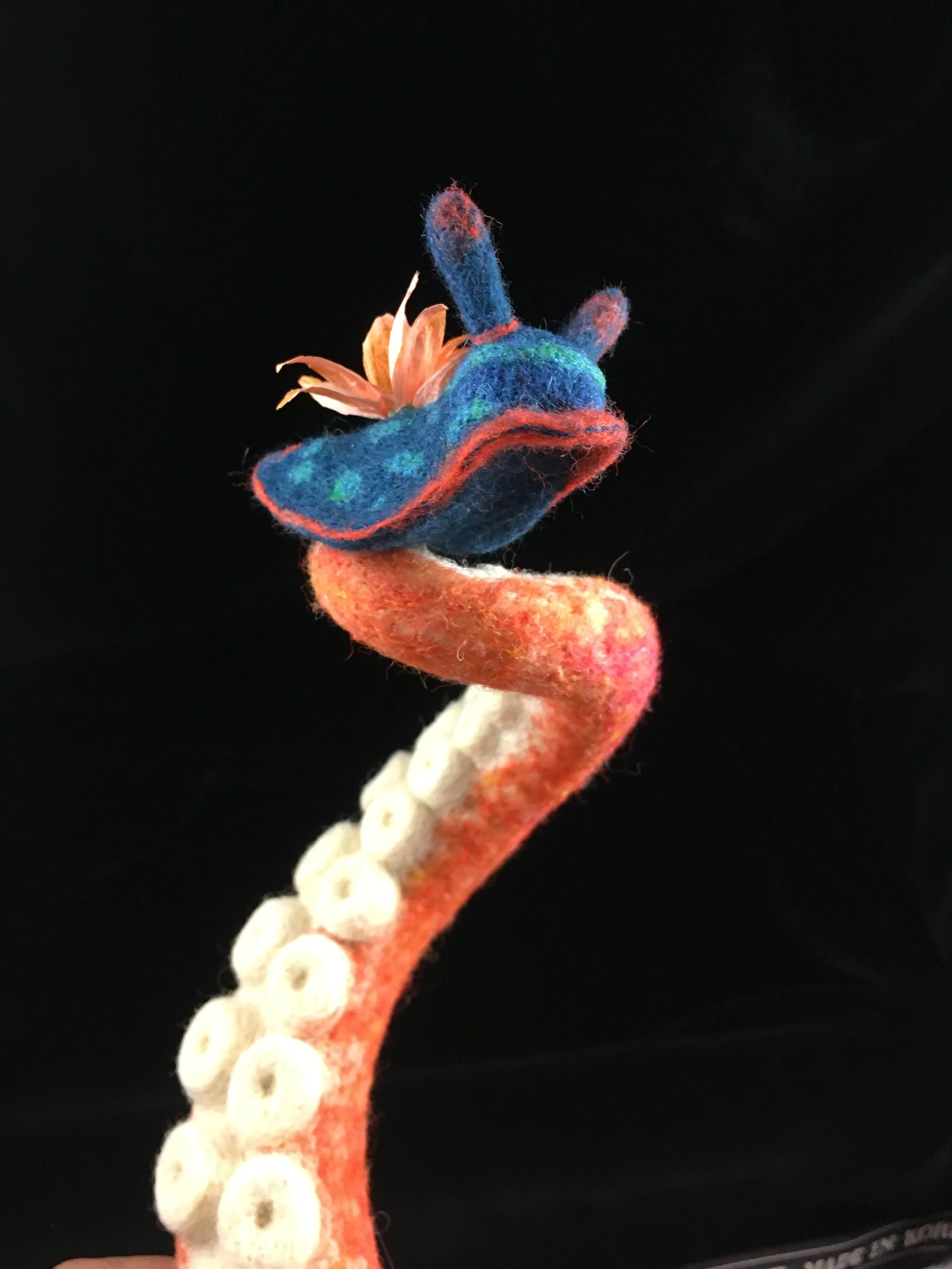 Tentacle Bloom 3.JPG