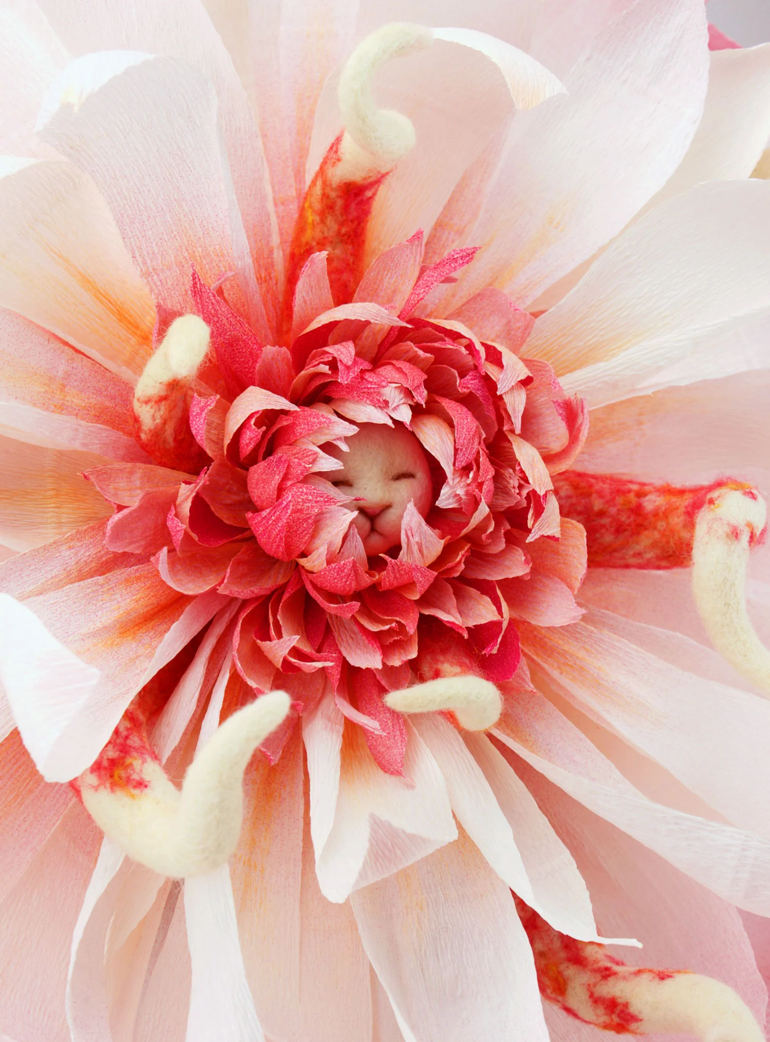 CG-17-09-BLOOM-BIGFLOWER-4.jpg