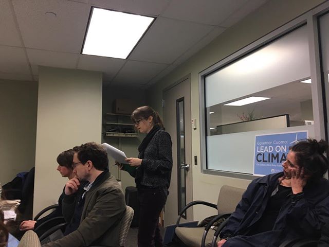 Normally I (Elaine) don&rsquo;t leave the studio on Tuesday, but today I testified with some Sierra Club people at a hearing in LIC about capping nitrogen oxide emissions from New York State power plants. Some of our nastiest, dirtiest plants are rig