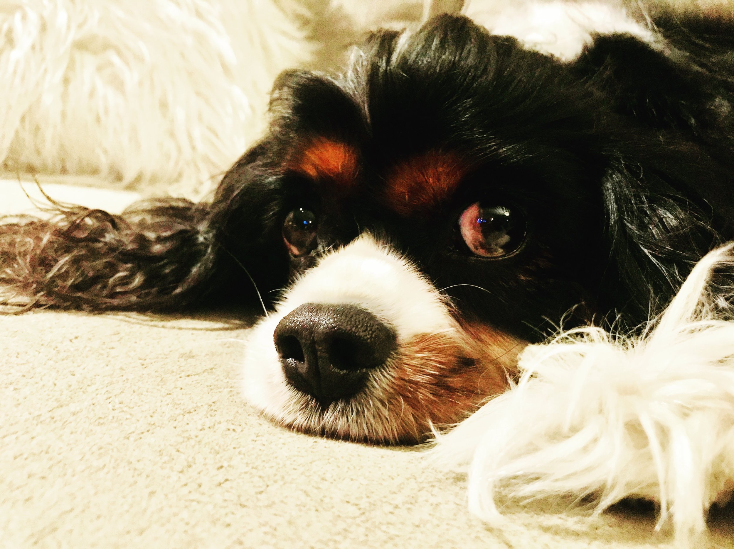 What's More Dangerous?