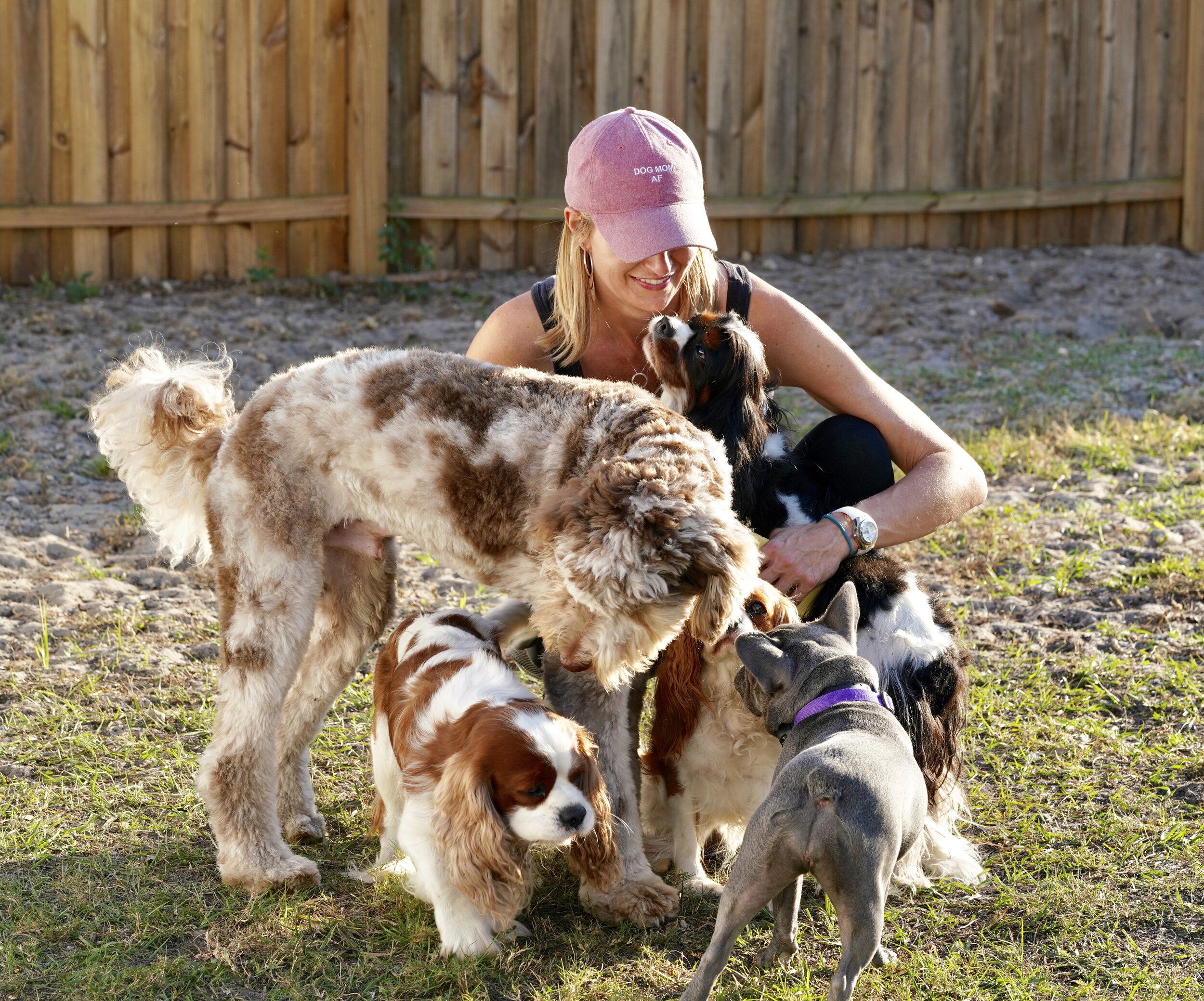 Dog training