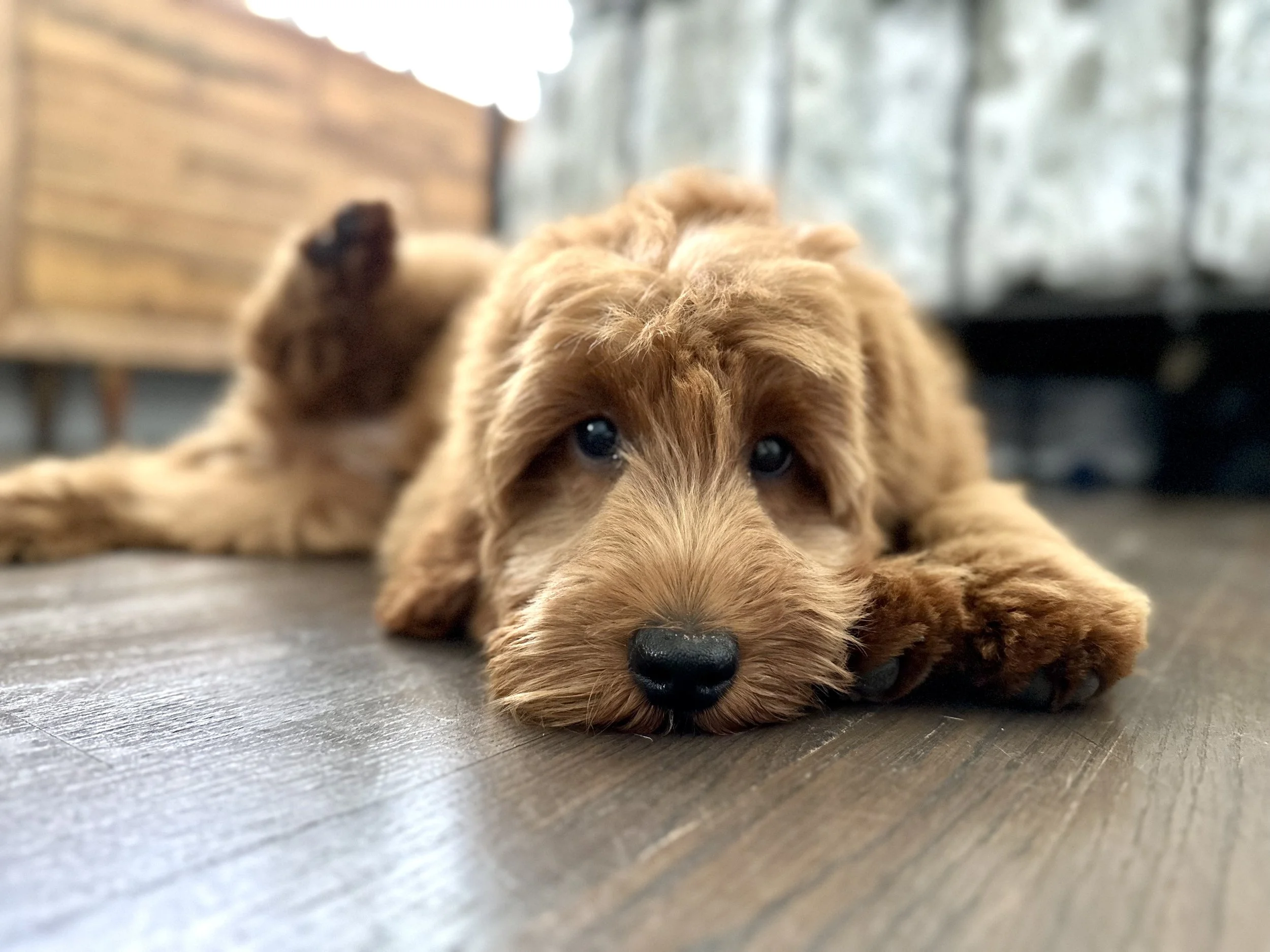 Selfish or Virtuous?