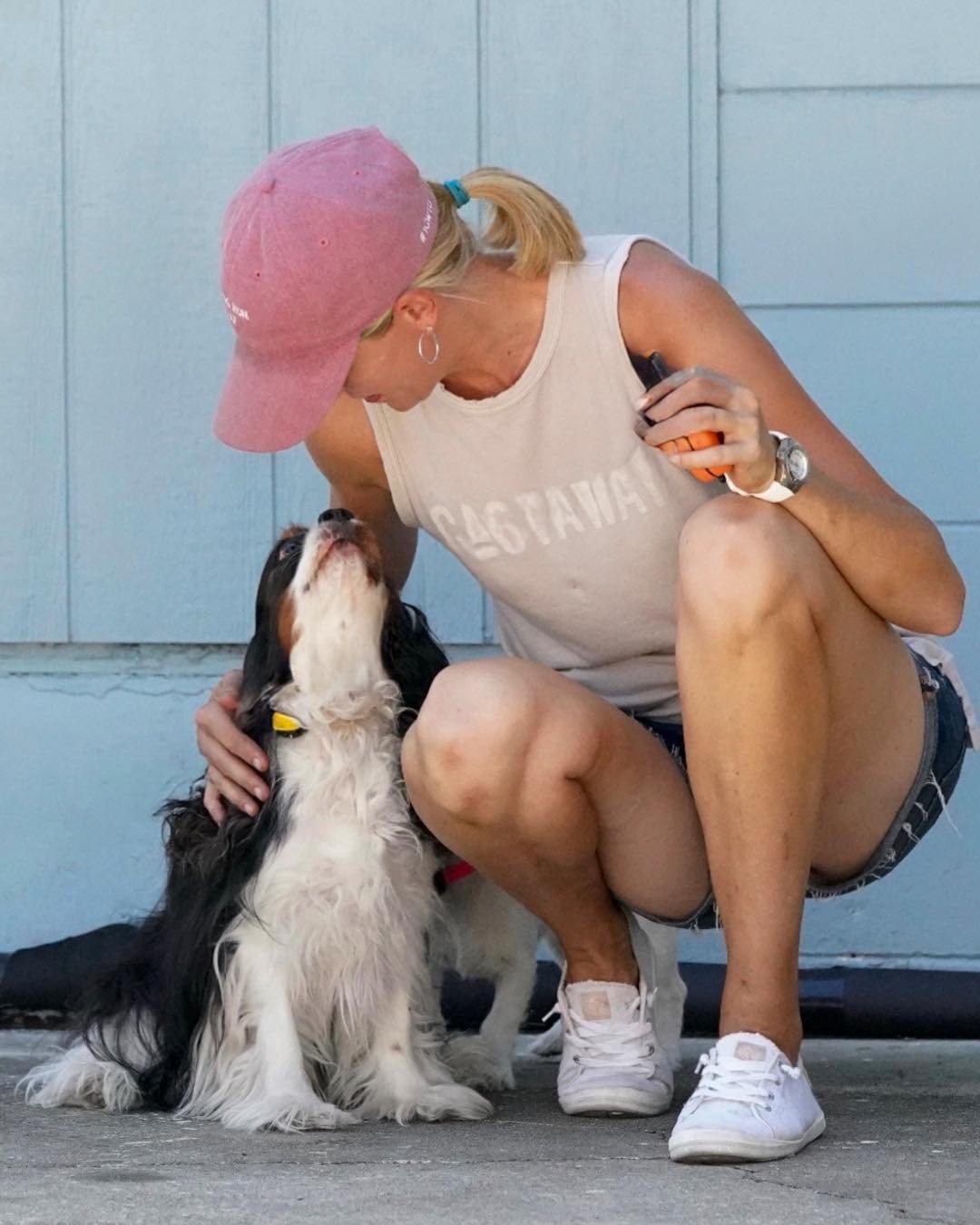 Your Dog Isn’t Ignoring You They Don’t Believe You.