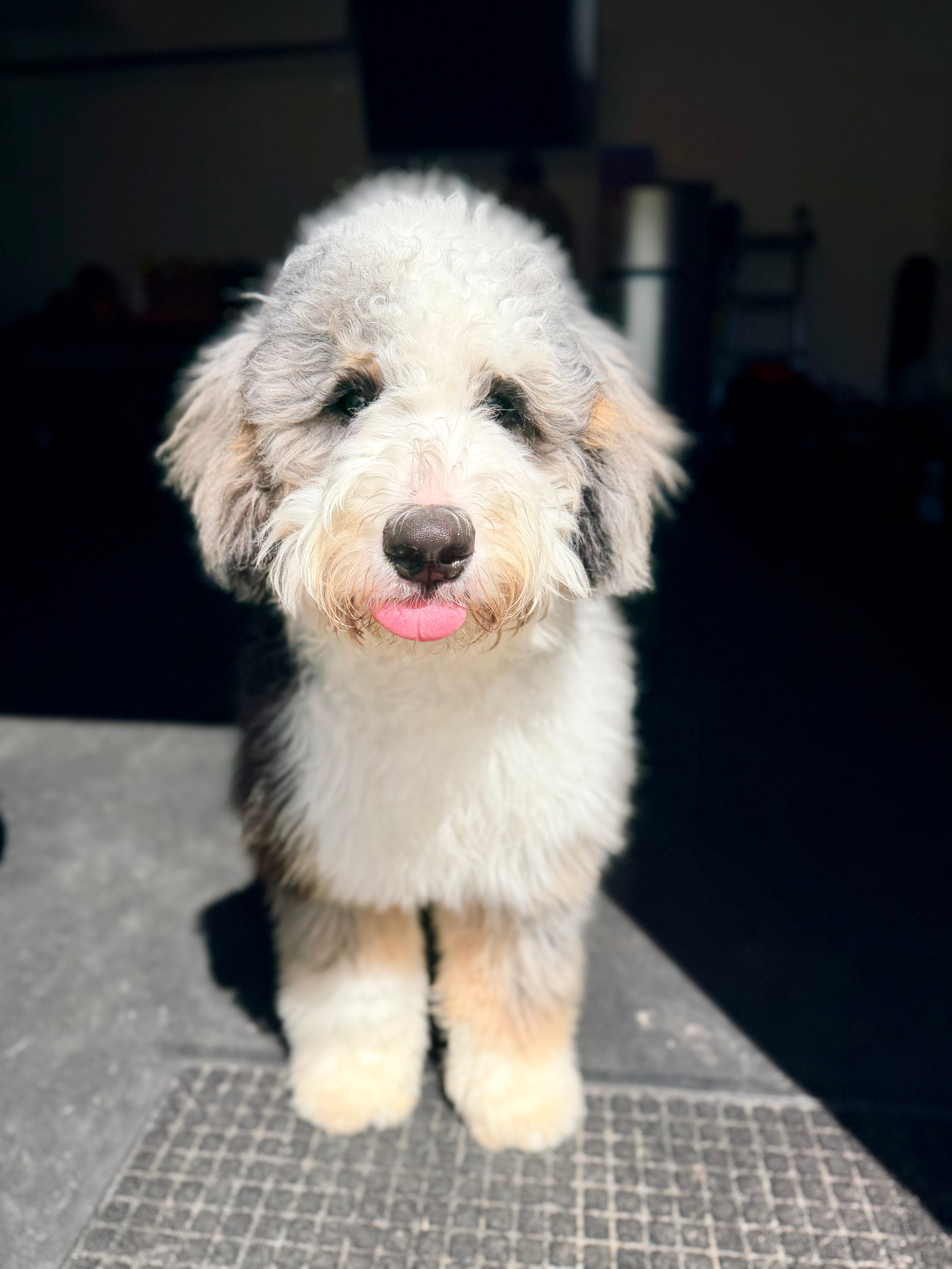 “Wait” Changes Everything