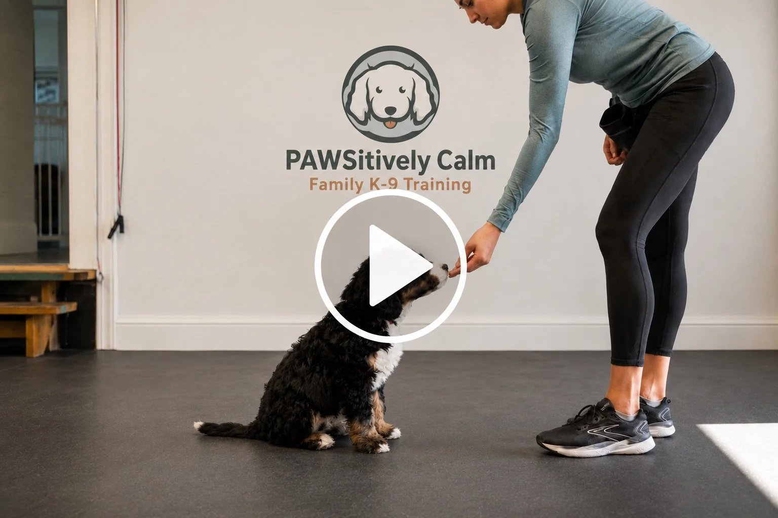 Trainer teaching a puppy to sit calmly and wait for guidance.