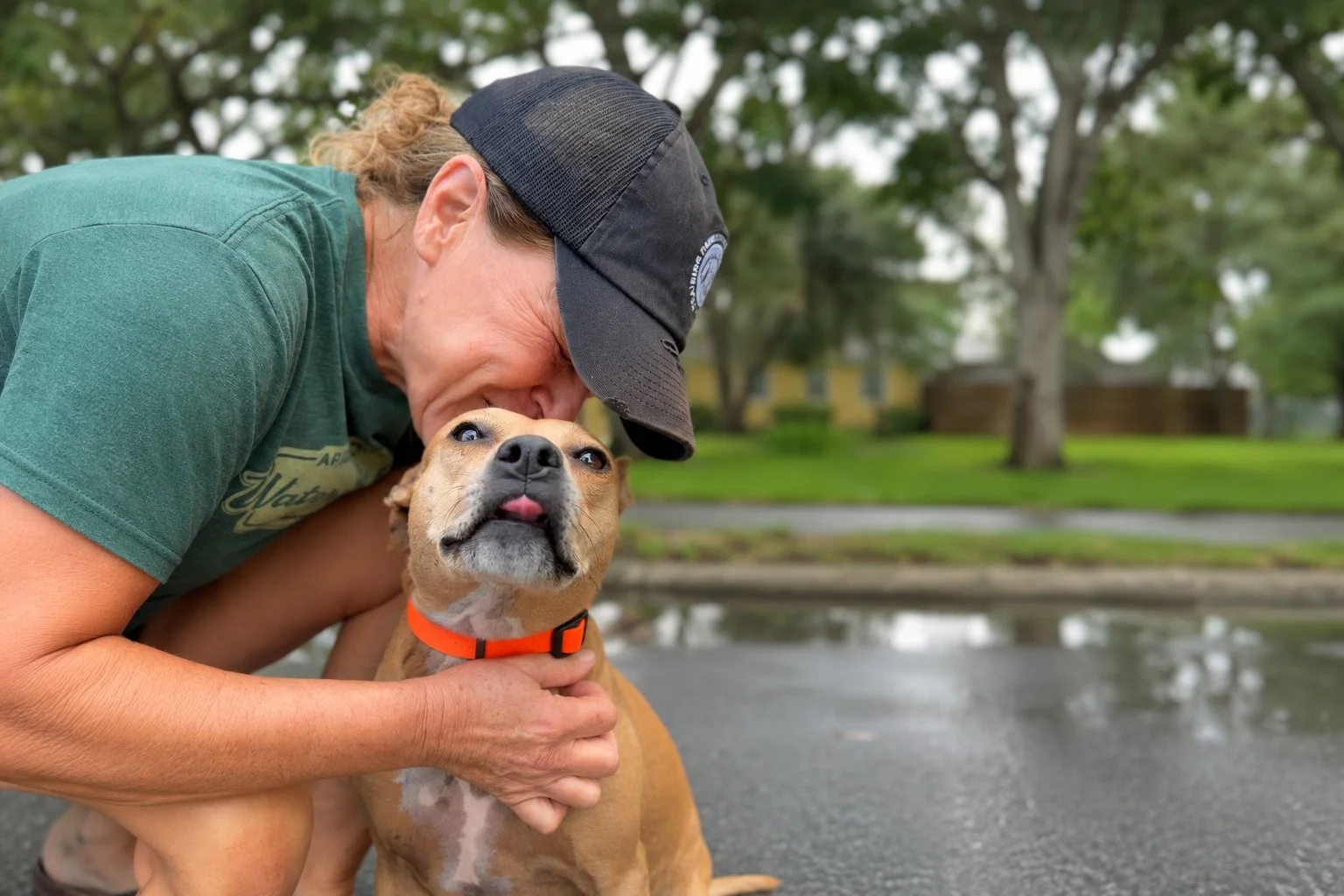 Dog trainer embracing a calm dog outdoors, representing the trust, transparency, and relationship to consider when choosing a reputable dog trainer in Central Florida.