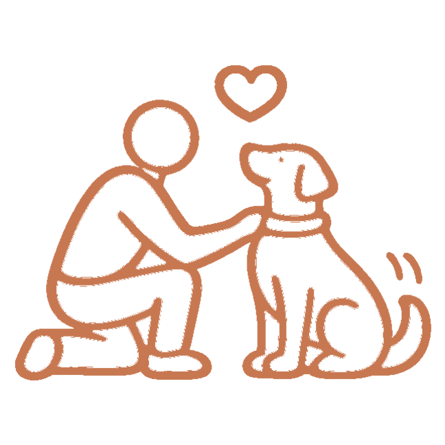 Dog training relationship concept showing trust, connection, and structured interaction between dog and owner