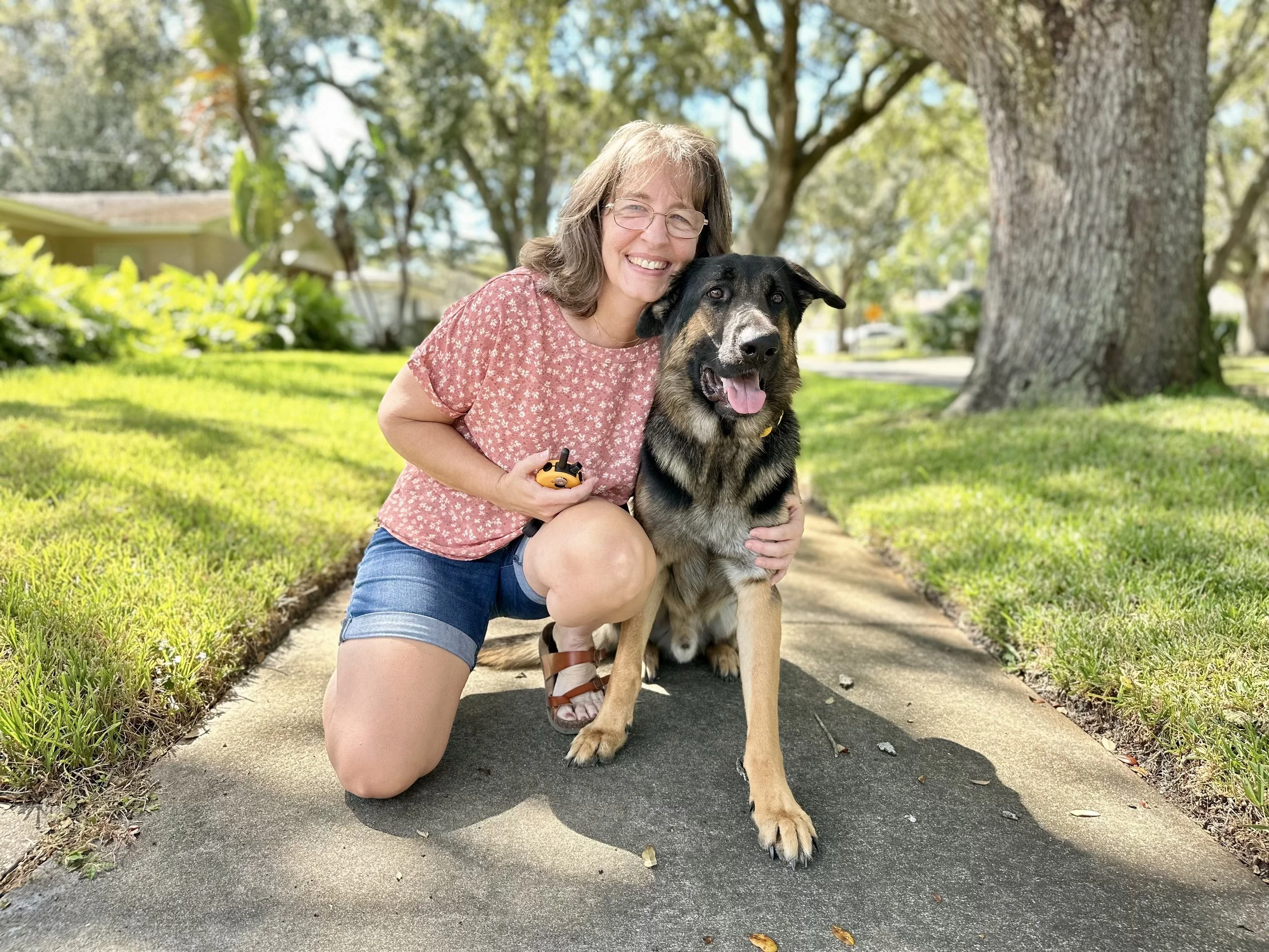 German Shepherd Clyde after completing immersive dog training program with PAWSitively Calm, demonstrating improved calmness, confidence, and emotional stability in Orlando, Florida.
