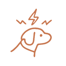 Anxious dog behavior resulting from lack of leadership and environmental clarity