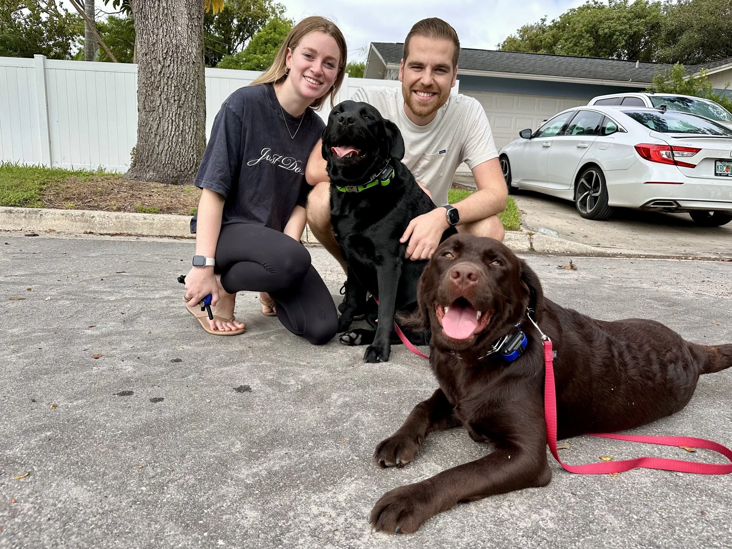 Bear and Cub after completing immersive dog training program with PAWSitively Calm, showing improved calmness, focus, and emotional stability in Orlando, Florida.