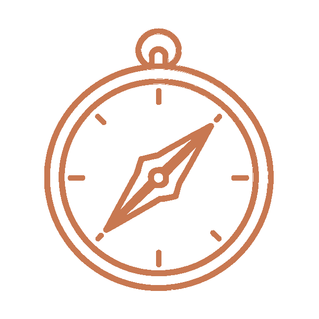 Dog training leadership concept showing calm direction, structure, and guidance for balanced behavior