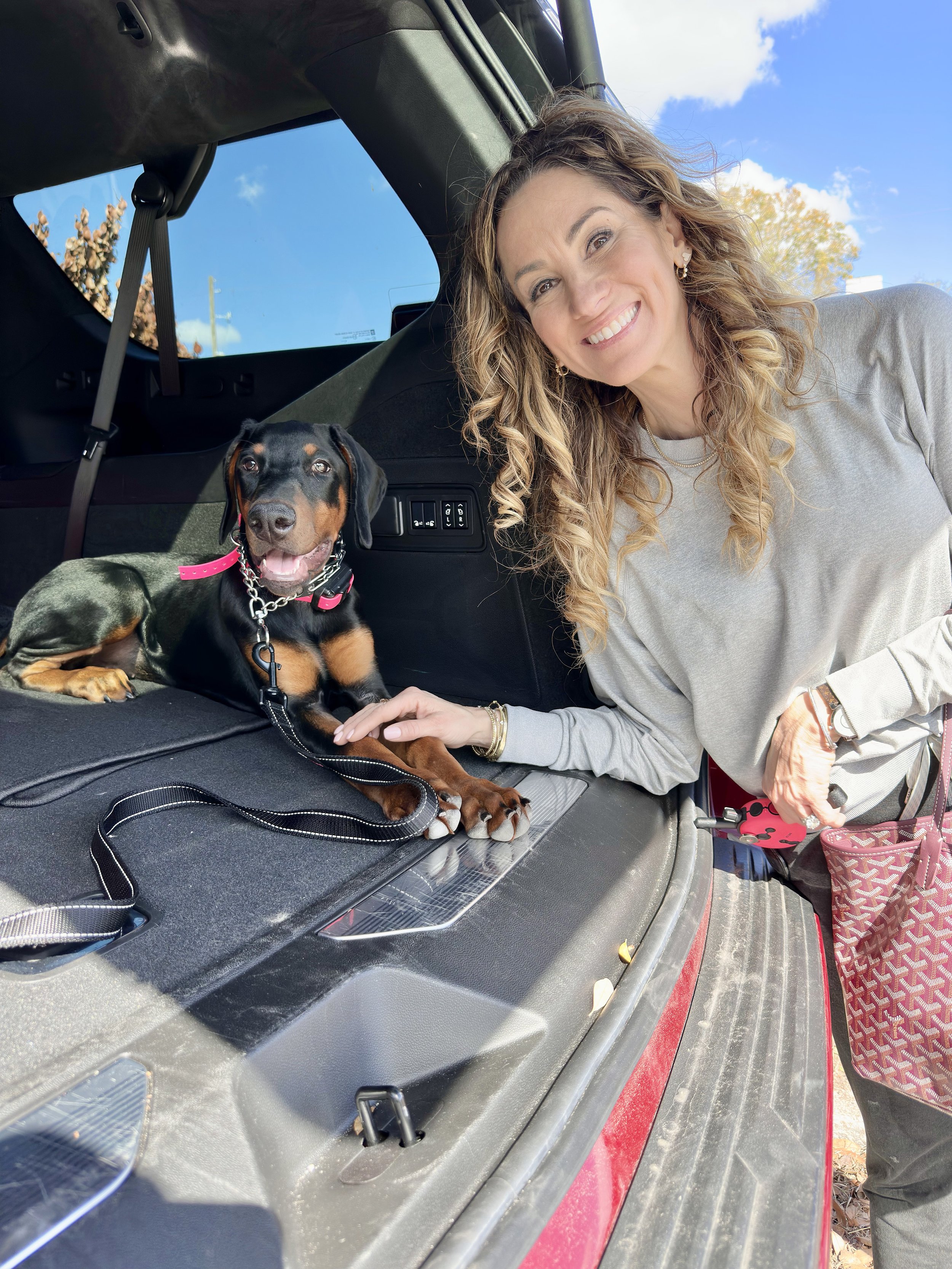 Young Doberman puppy Alfredo after completing immersive puppy training program with PAWSitively Calm, demonstrating improved calmness, focus, and emotional regulation in Orlando, Florida.