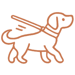 Dog pulling on leash due to lack of structure and leadership in training