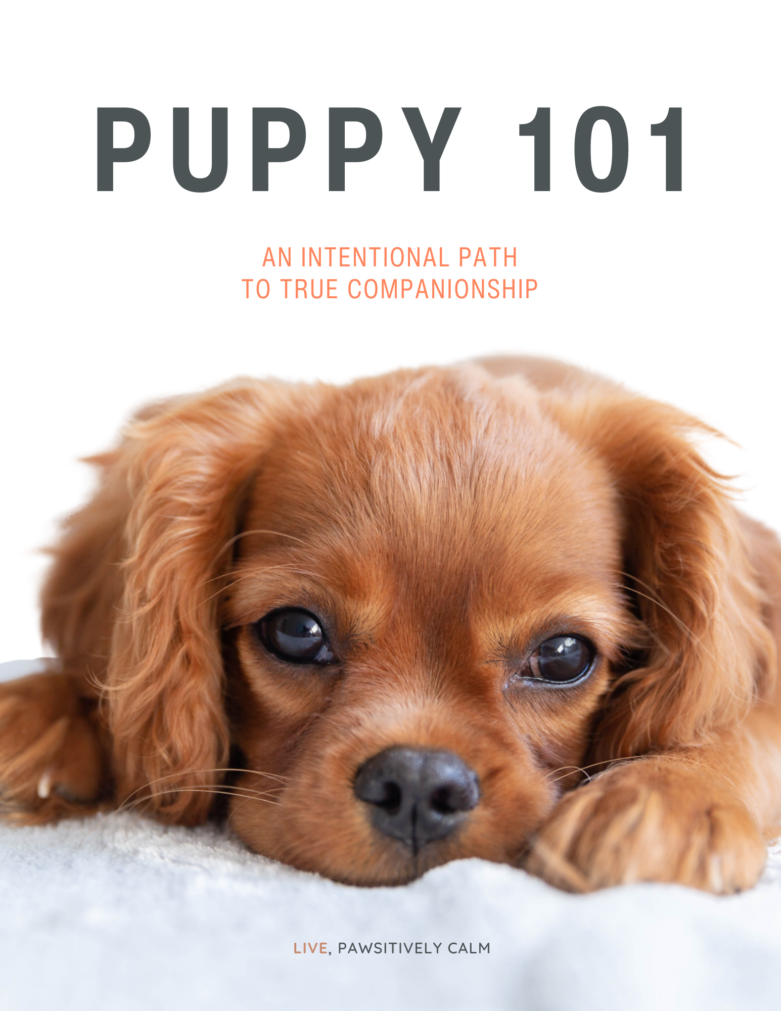 Puppy 101