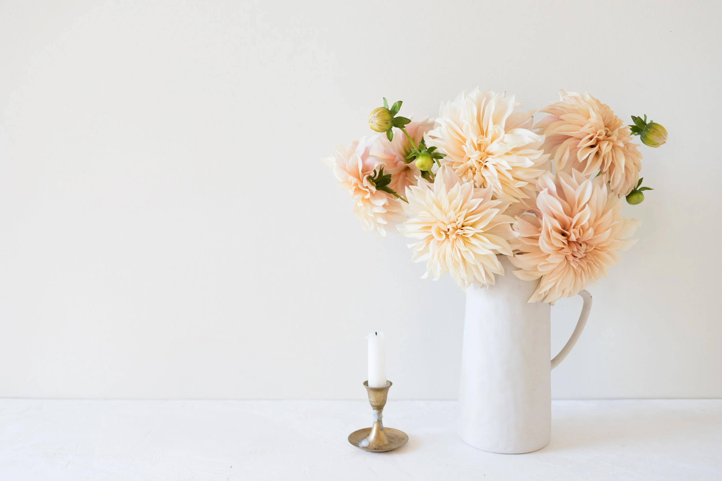 KrisLeBoeuf_WitteFarm_Dahlias_0004.jpg