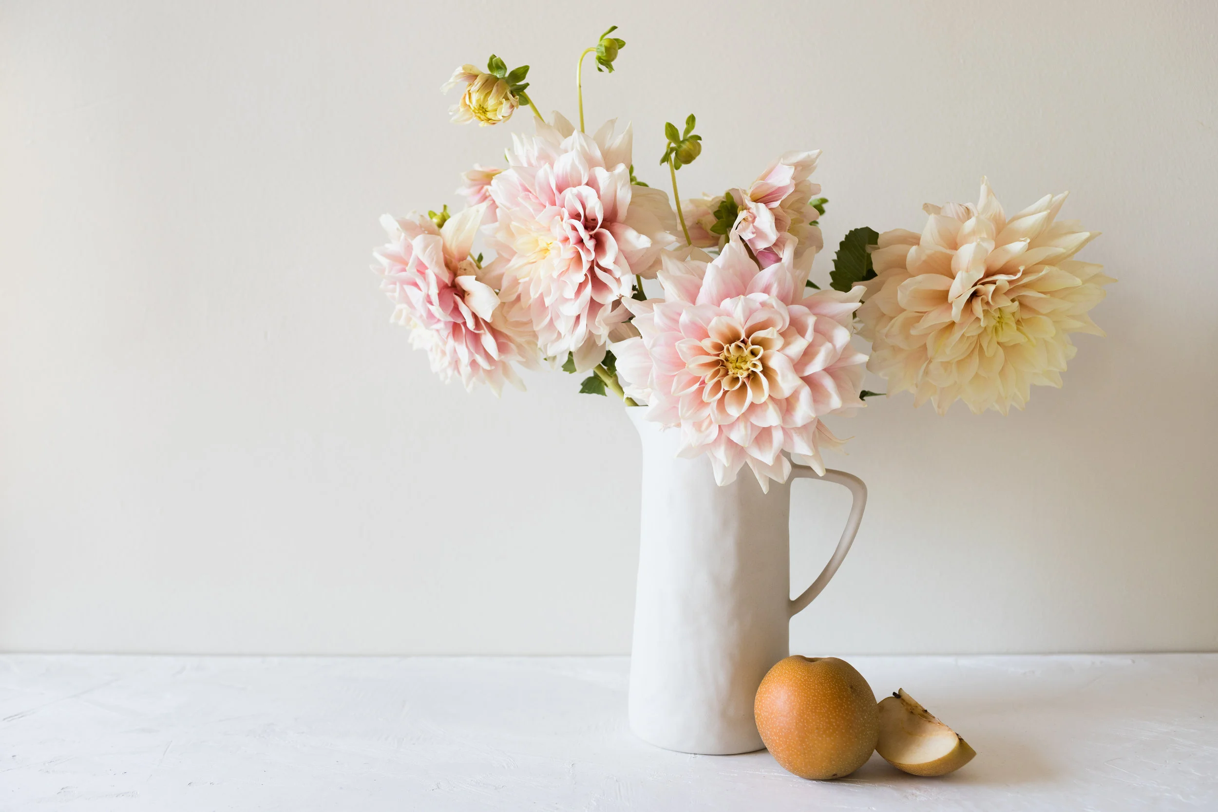 KrisLeBoeuf_WitteFarm_Dahlias_0047.jpg