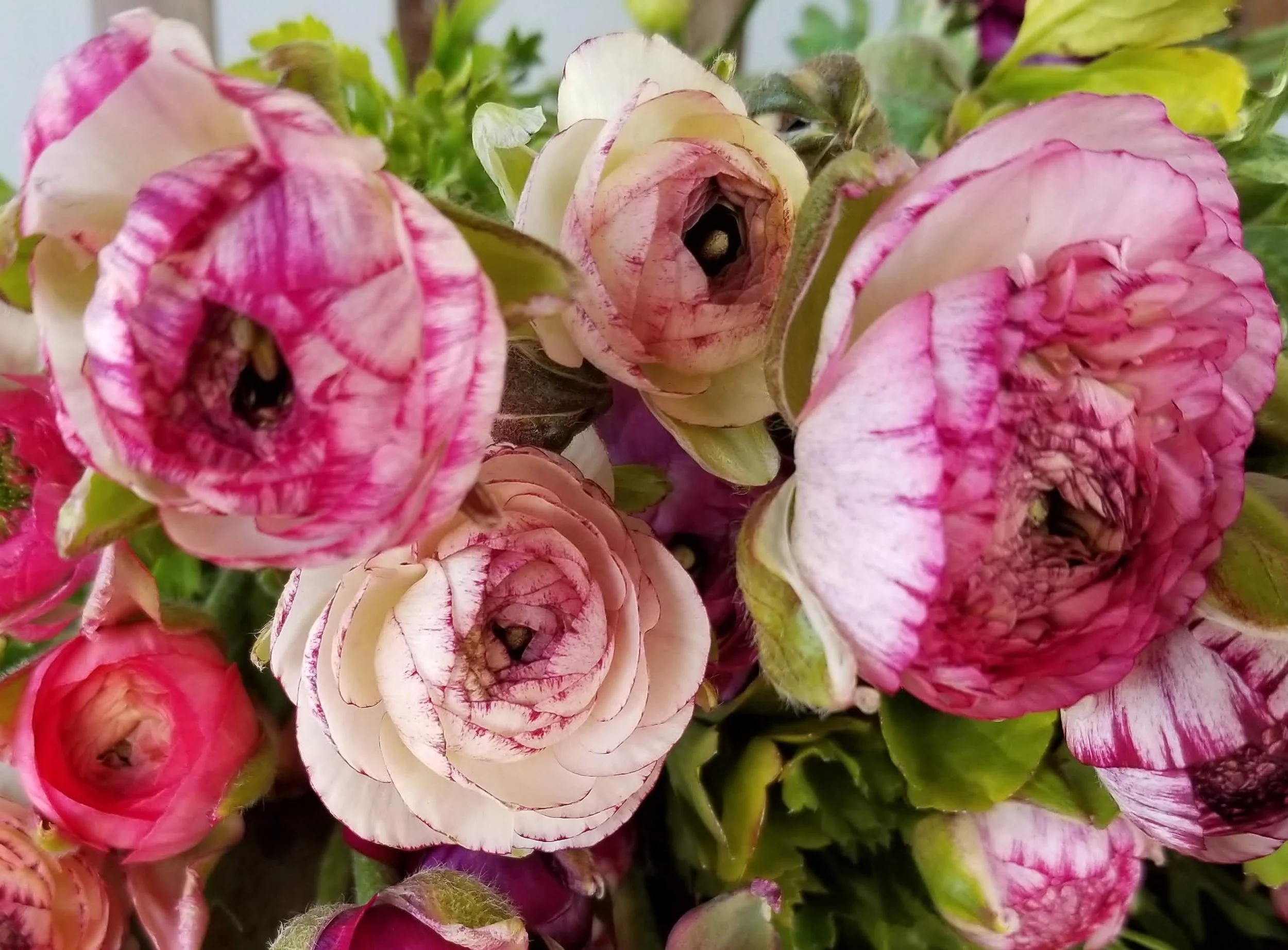 20180403_103404.jpg
