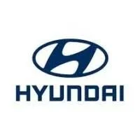 Part time Driver hyundai