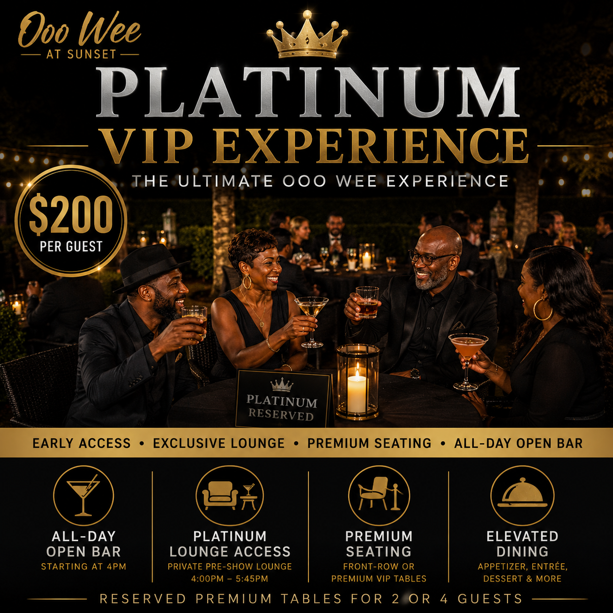 PLATINUM VIP EXPERIENCE