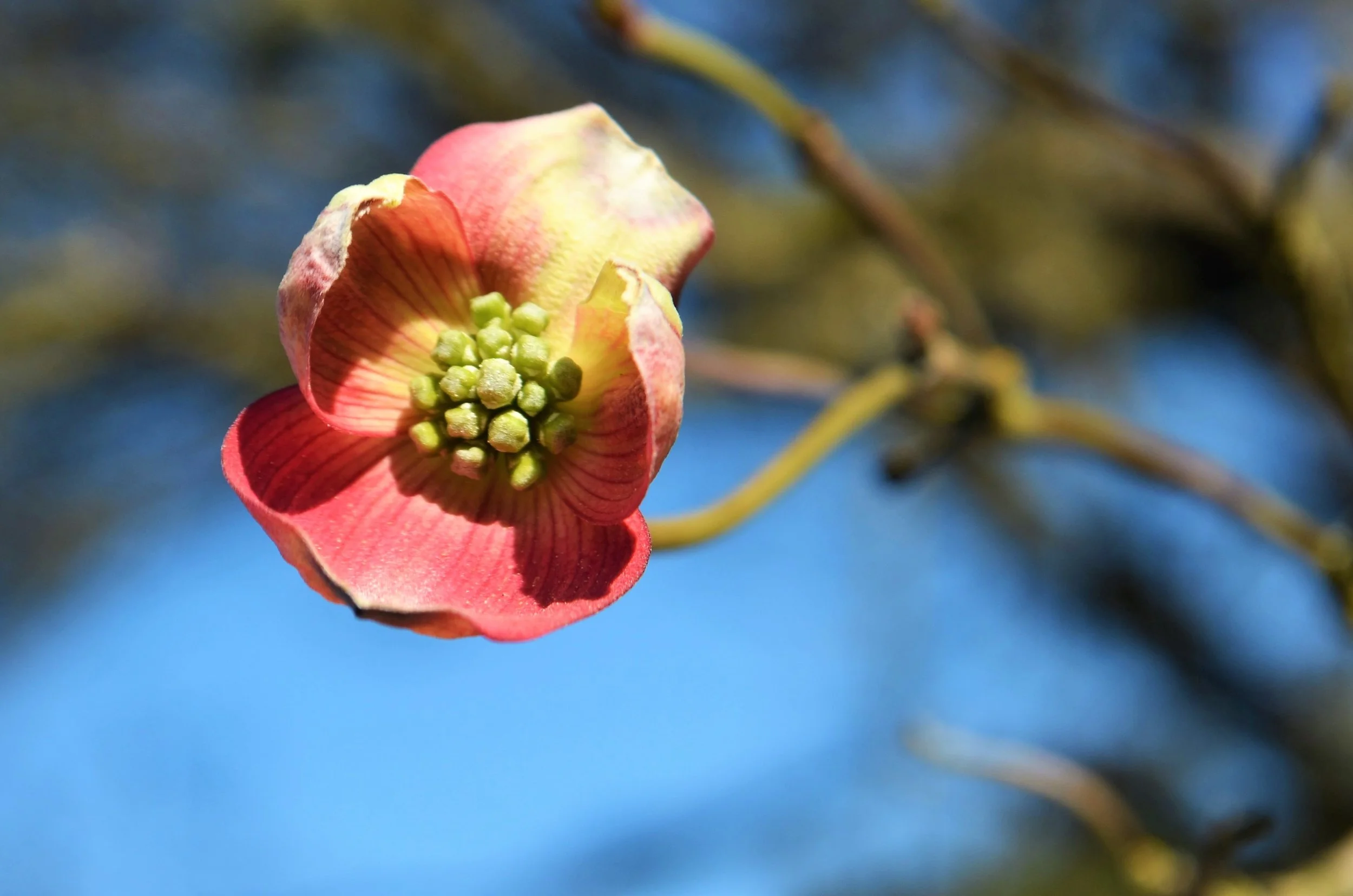 DSC_0050.JPG
