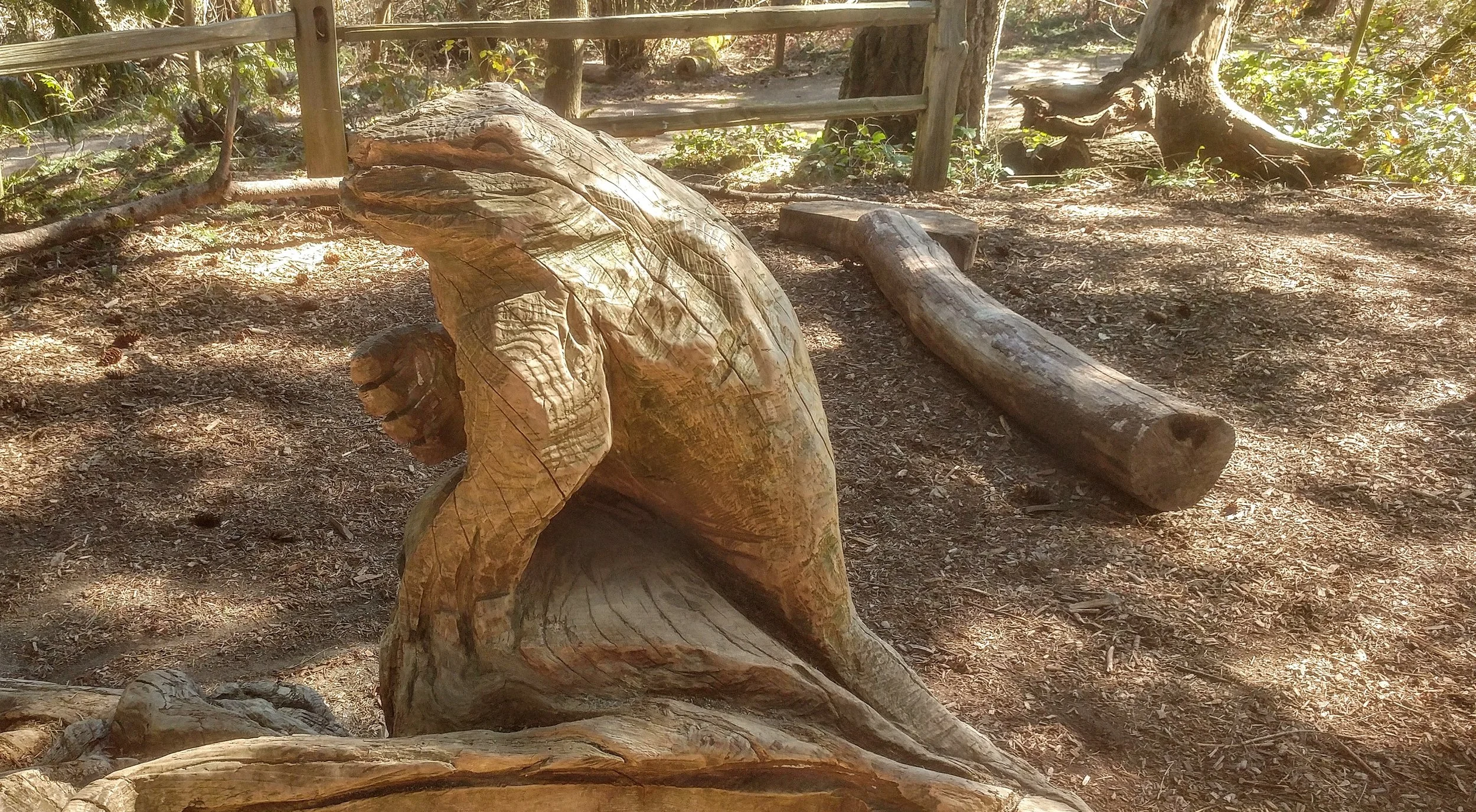 20190319_134759_HDR_2.jpg